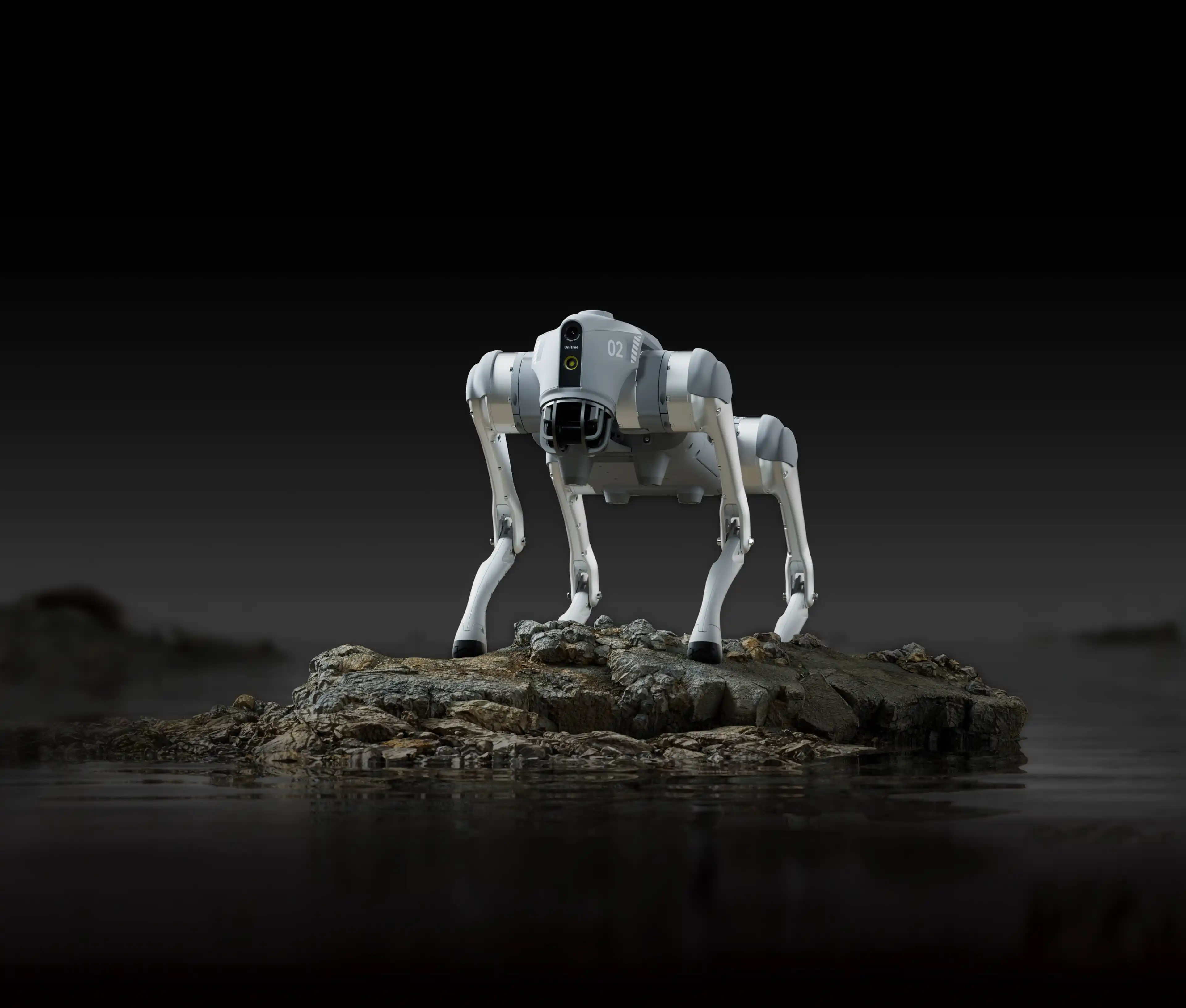 Go2 Quadruped Robot Personal accompany and life care robot New Go2 Quadruped Robot Personal accompany and life care robot New